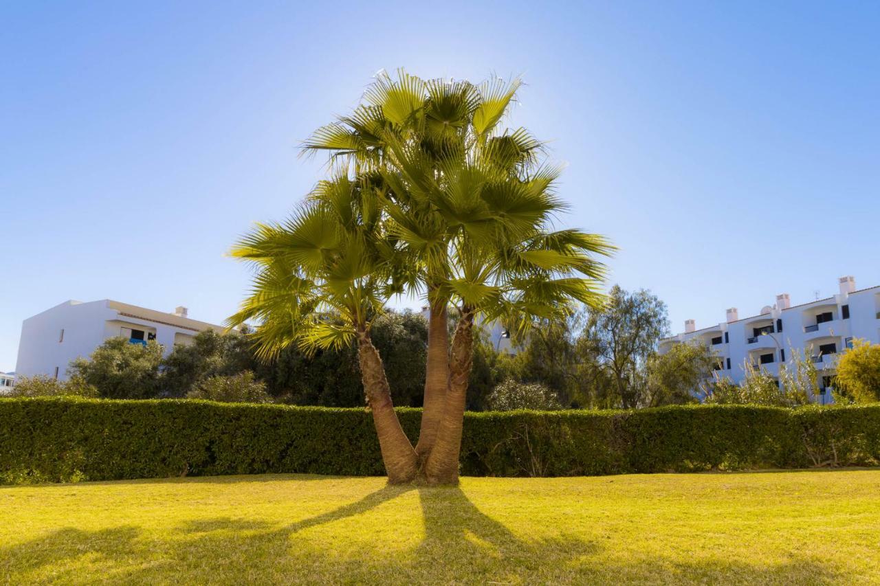 Apartament Yangmar By Alzira Albufeira Zewnętrze zdjęcie